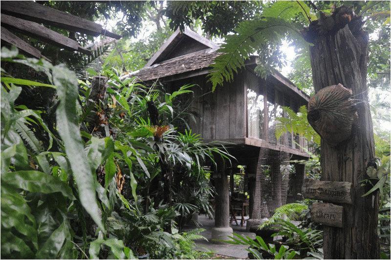 Fern Paradise Chiang Mai Esterno foto